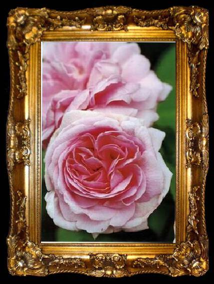 framed  unknow artist Still life floral, all kinds of reality flowers oil painting  308, ta009-2